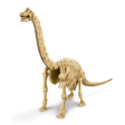 dig-a-dino-series-II-brachiosaurus