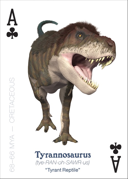 dinosaur_playingcards.indd