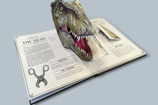 t-rex book 2