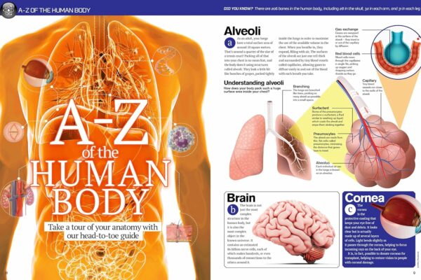 human body book 2